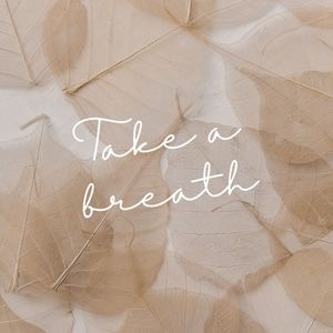 COPY - COPY - COPY - COPY - 3